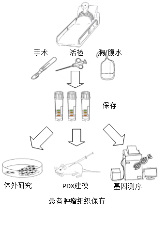 ABUIABAEGAAg1ruJ0AUol-nuowQw2QI41AM