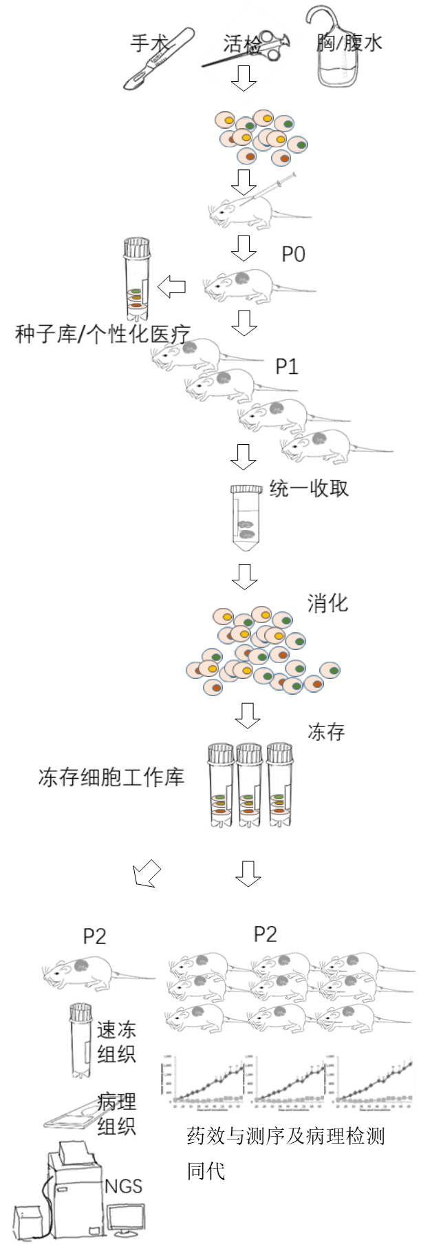 ABUIABAEGAAgzriA0AUoss3r4QIw9AQ4pg4